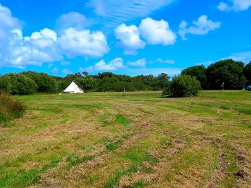 The site