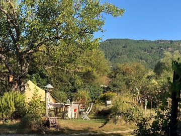 Bell tent in its leafy setting