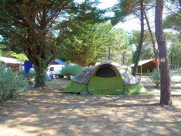 Shaded pitch