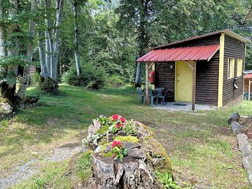 Cabin in the woods