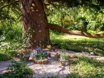 Fairy garden