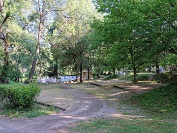 Trail through the trees