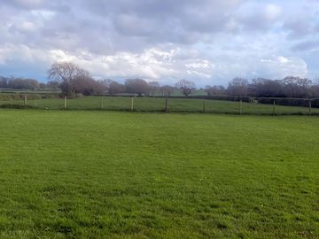 Grassy pitches