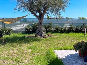 Garden with shade
