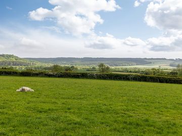 Ashberry Glamping