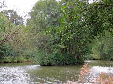 Brook pool