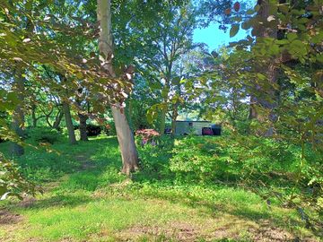 The truck in dappled shade