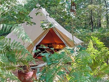 Leafy bell tent pitch