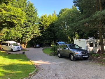 Set in a tree-lined area