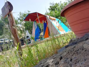 Tent pitches