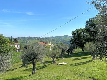 Camping area