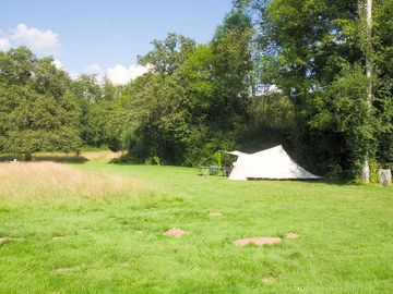 Grass pitches among the trees