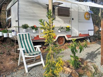 Leafy caravan pitch