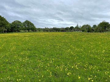 Camping field