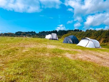 Grass or motorhome pitches