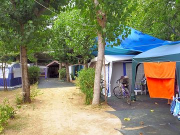 Pitched on a tree-lined path