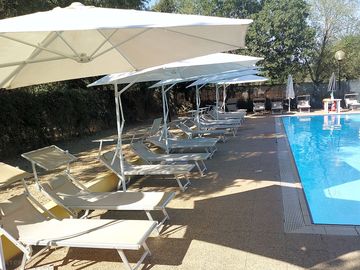 The pool and sun loungers