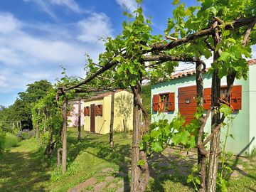 Lodges amid the vineyards