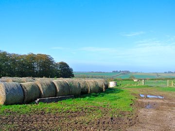 Farmland surroundings