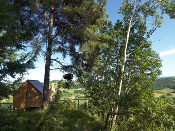 Starsbox tucked among the trees
