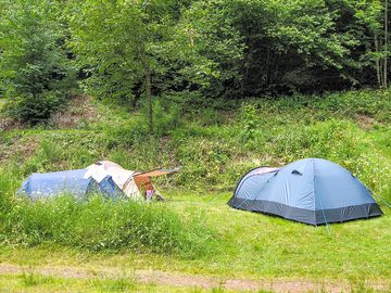 Plenty of room on the pitches