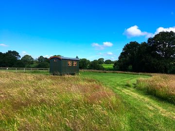 Shepherd's hut pitch