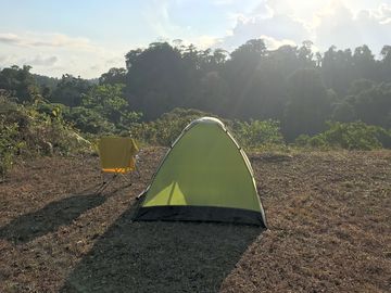 Rainforest surrounds