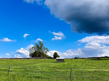 Looking towards the site from the farm