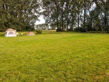 Camping meadow surrounded by trees