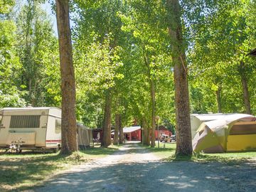 Pitches among the trees