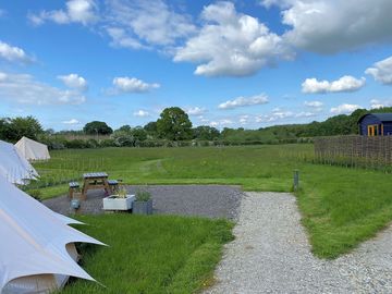 Wildflower glamping meadow