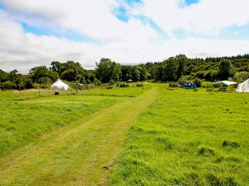 Tent pitches