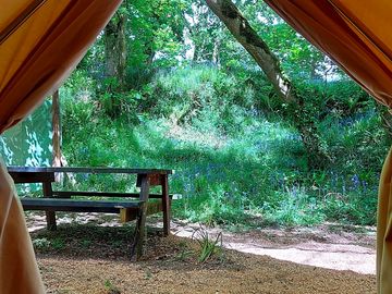 View from the tent