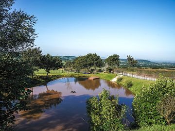 View of the pond