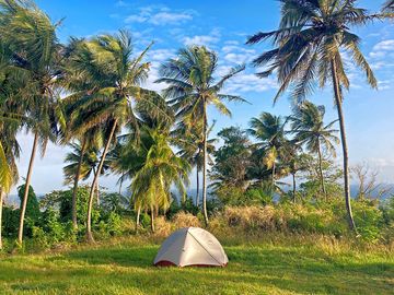 Sheltered by trees