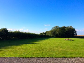 View from the entrance across the site