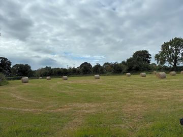 Simple grass pitches