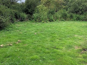 Secluded areas