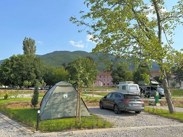 Standard pitches with shade from the trees