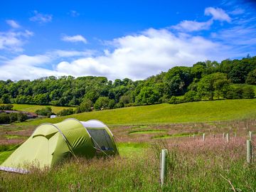 Tent setup in the field.