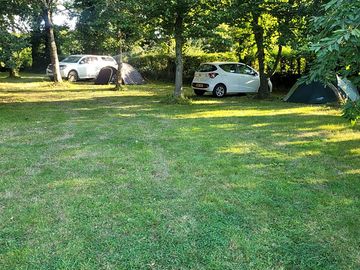 Shaded wooded areas