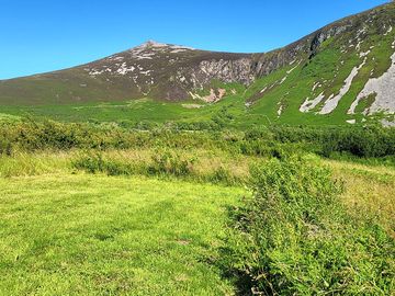Gyrn goch