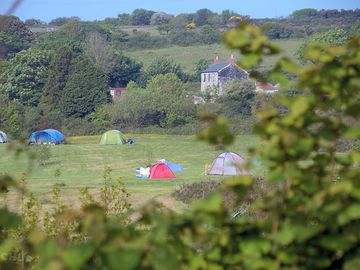Large pitches on a quiet field