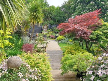 The tropical garden in spring