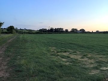 Looking across the pitches