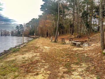 Lower level of #3 in November