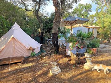 Bell tent in rural surroundings