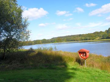 Peace and quiet by the lake