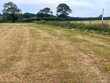 The site's northern boundary