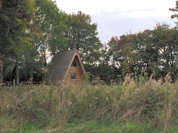 In the meadow